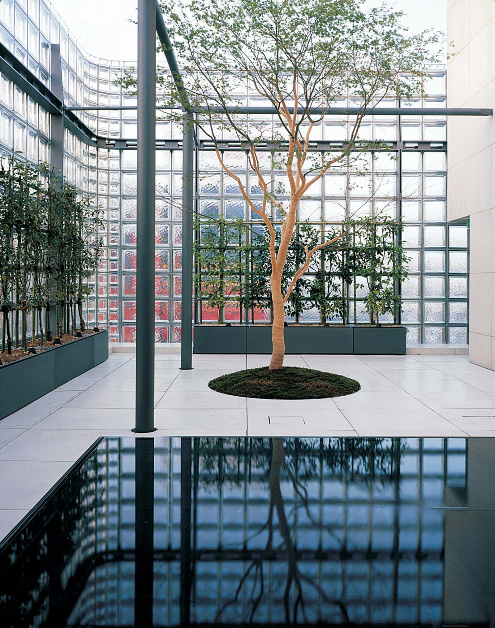 Reflecting pool and glass pavilion inside Eighty Seven Park
